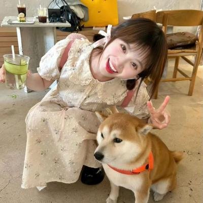 疯狂趴到家