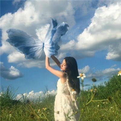 野性生灵